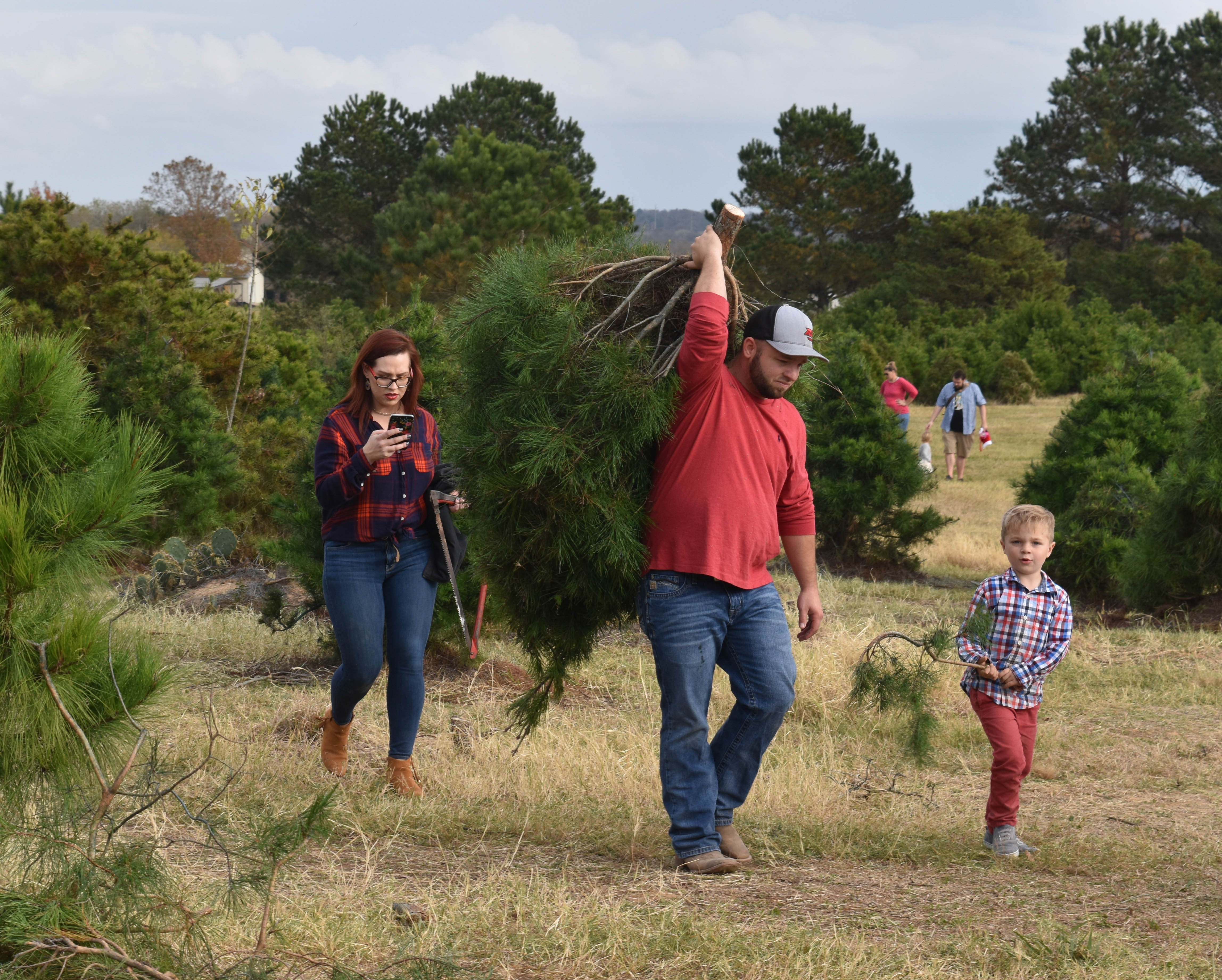 For Texas Christmas Tree Growers, It's the Customer Experience That Counts Reporting Texas