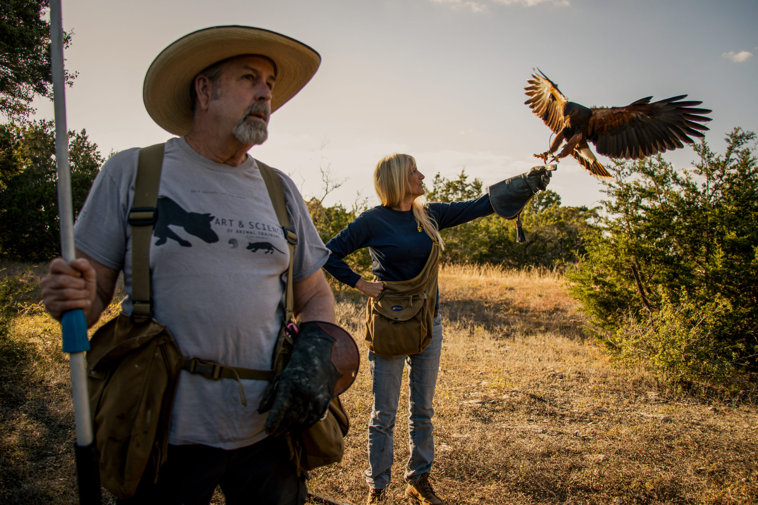Falconry Soars in Texas Reporting Texas ★ Reporting Texas