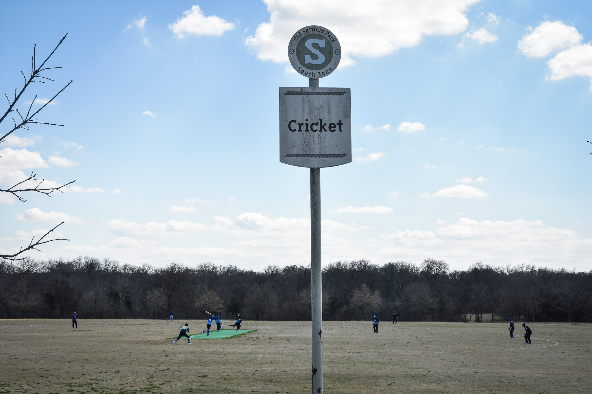 Cricket