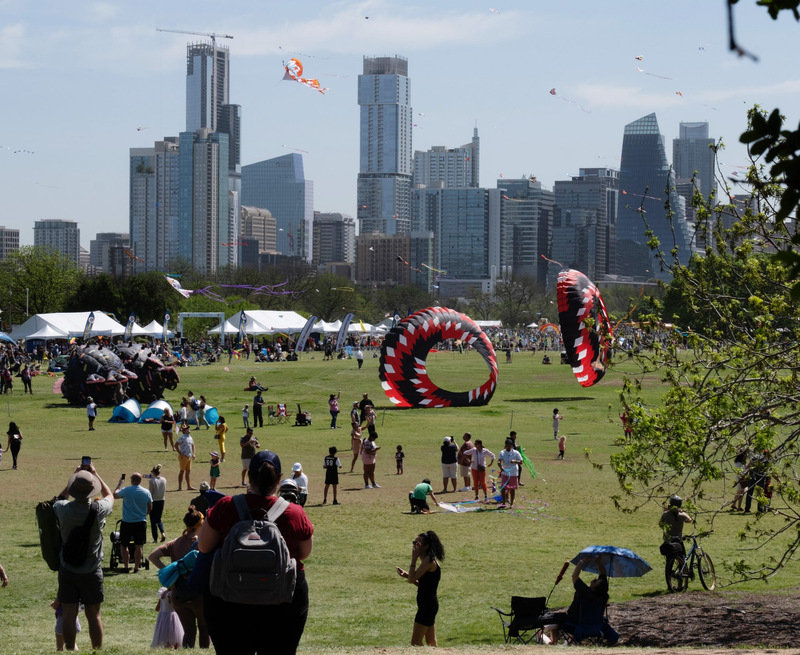 Skinner Kite Fest{seqn{seqn}01