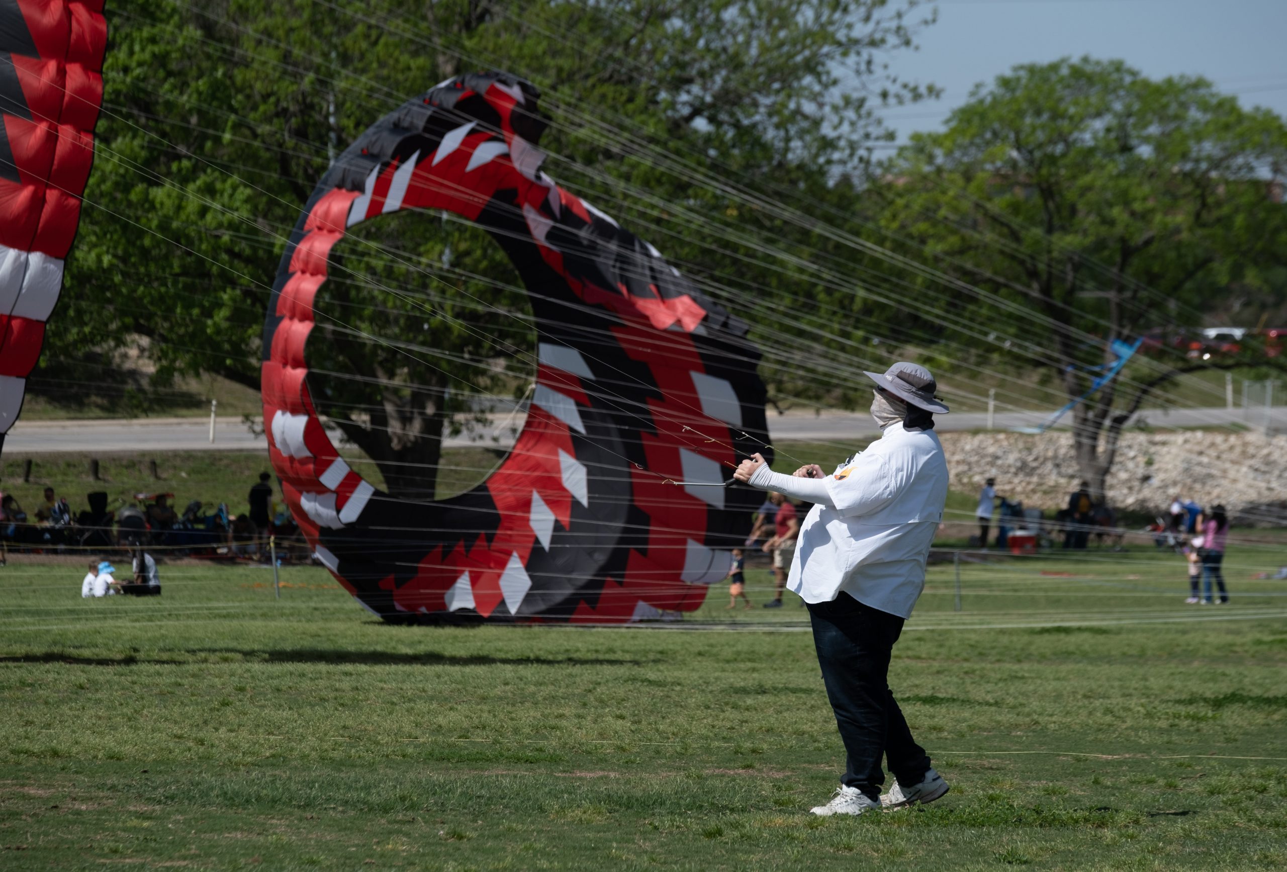 Skinner Kite Fest{seqn{seqn}10