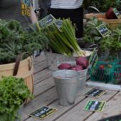 The UT Farm Stand sells fresh produce grown in the Austin area. (Photo: Maggy Wolanske)
