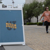 The UT Farm Stand is located outside of Jester on the corner of Speedway and 21st Street. (Photo: Maggy Wolanske)