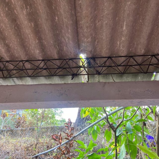 Complejo Educativo De San Fernando (Photo Courtesy: Manrique Ramos)